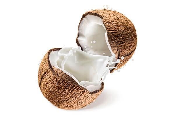 buy coconut milk