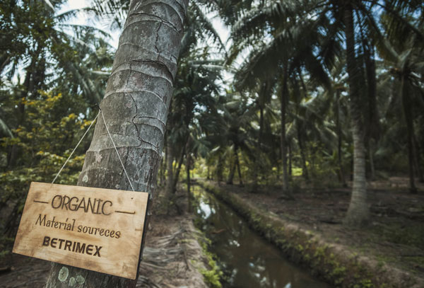 Nguyên liệu Organic đang là xu hướng của tương lai